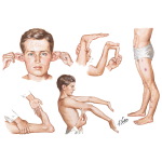 399-150x150.jpg